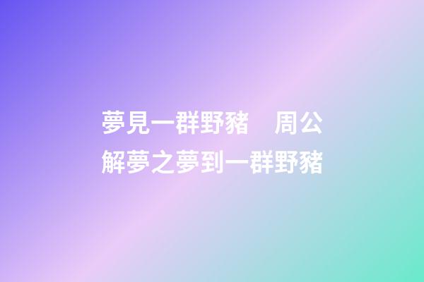 夢見一群野豬　周公解夢之夢到一群野豬
